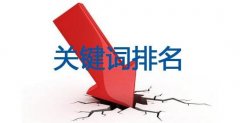 老司機告訴你網站排名突然下降你還能做什么